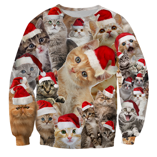 Pluizige Katten Met Kerstmutsen Kersttrui
